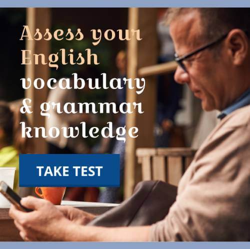 Man taking an English test online