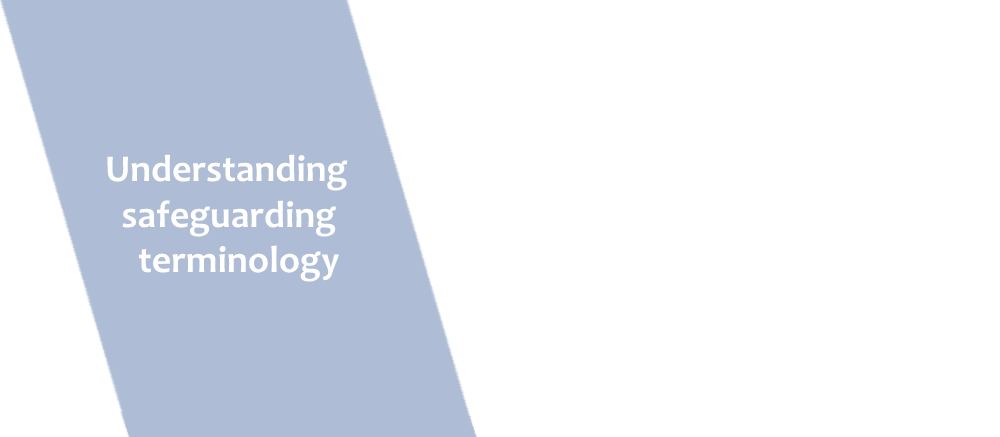 understanding safeguarding terminology