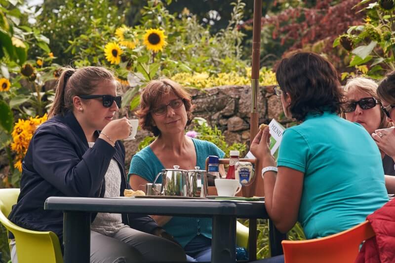 Students drinking tea